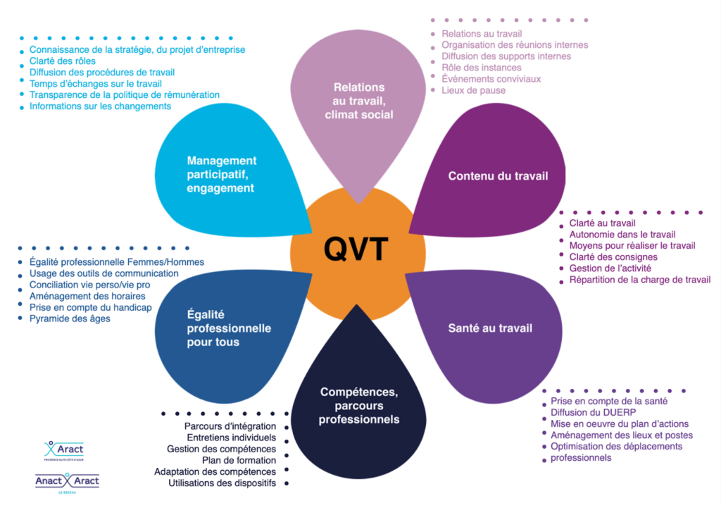 Marguerite QVT