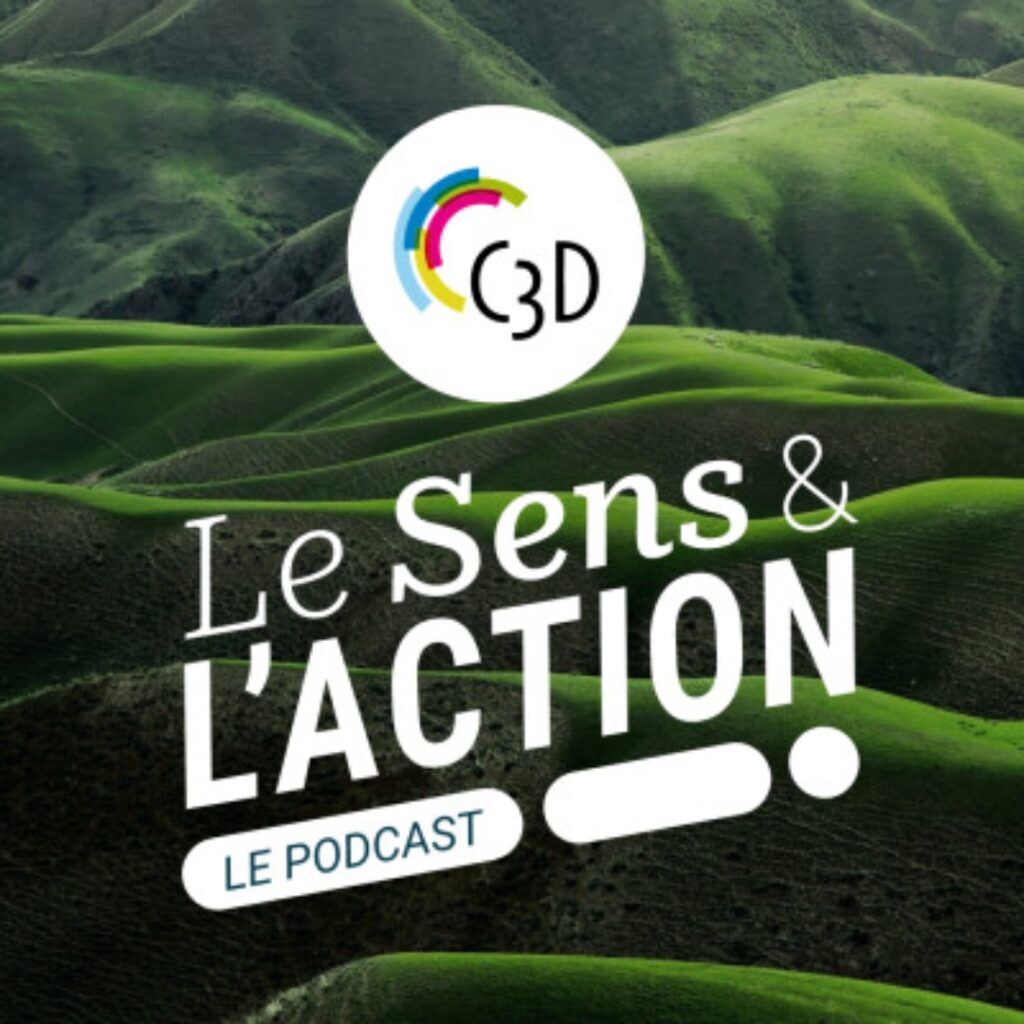 podcast RSE le sens et l'action