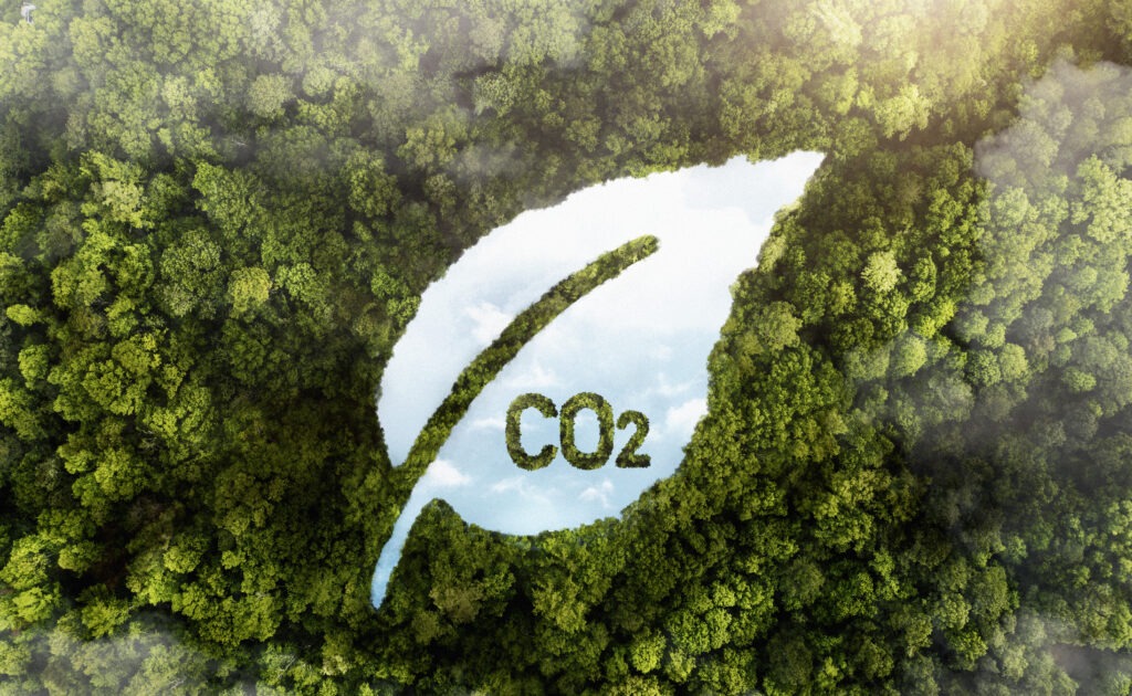 Carbone green-forest-trees-with-co2 bilan carbone entreprise