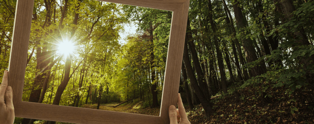 Bilan carbone entreprise